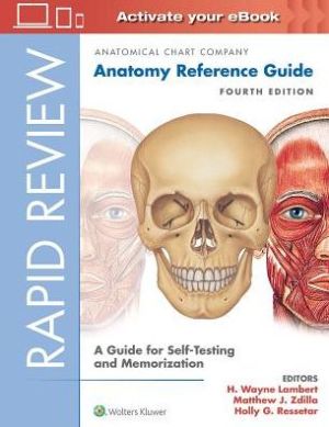 Rapid Review: Anatomy Reference Guide : A Guide for Self-Testing and Memorization, 4e | ABC Books