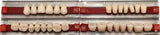 Pre-clinic-Efucera A28 Denture Set (23 A3 Shade, Upper & Lower, Synthetic Resin, 28 Teeth