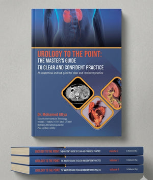 Urology to the Point: The Master's Guide to Clear and Confident Practice, 4-Volume Set