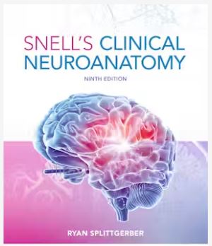 Snell's Clinical Neuroanatomy, 9e | ABC Books