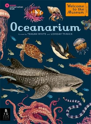 Oceanarium : Welcome to the Museum