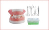 Training Model-Oral Suture Practice Model with Needle and Thread Equipment Set- Sciedu | ABC Books