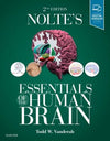 Nolte's Essentials of the Human Brain: With STUDENT CONSULT Online Access, 2e | ABC Books