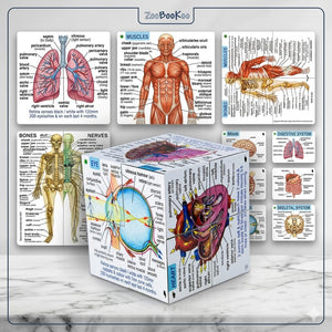 ZooBooKoo Scientific Human Body Cube Book - Systems and Statistics