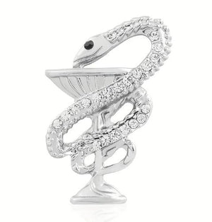 Med Acc-Snake Staff Brooch1-Silver