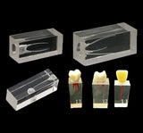 Dentistry Model-Model of Dental Pulp- Sciedu