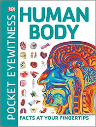 Pocket Eyewitness Human Body : Facts at Your Fingertips