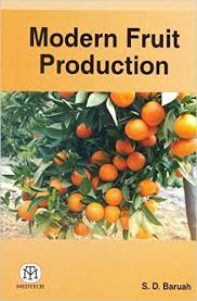 Modern Fruit Production