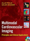 Cardiovascular Multimodal Image-Guided Diagnosis And Therapy