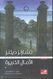 الآمال الكبيرة