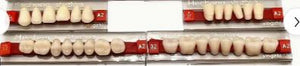 Pre-clinic-Efucera A28 Denture Set (23 A3 Shade, Upper & Lower, Synthetic Resin, 28 Teeth