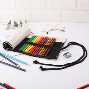 Acc-Canvas Instruments bag-12 pockets