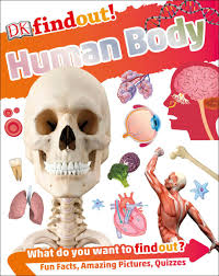 DKfindout! Human Body | ABC Books