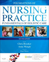 Foundations of Nursing Practice, 2nd Edition