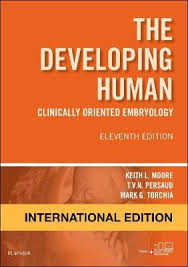 The Developing Human : Clinically Oriented Embryology (IE), 11e** | ABC Books