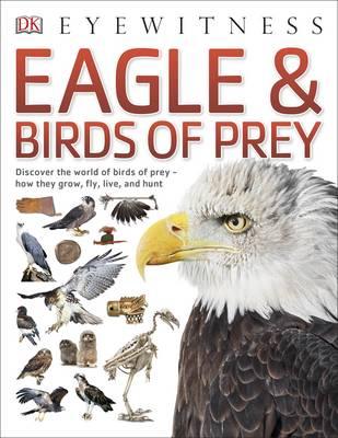 Eagle & Birds of Prey