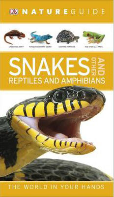 Nature Guide Snakes and Other Reptiles and Amphibians